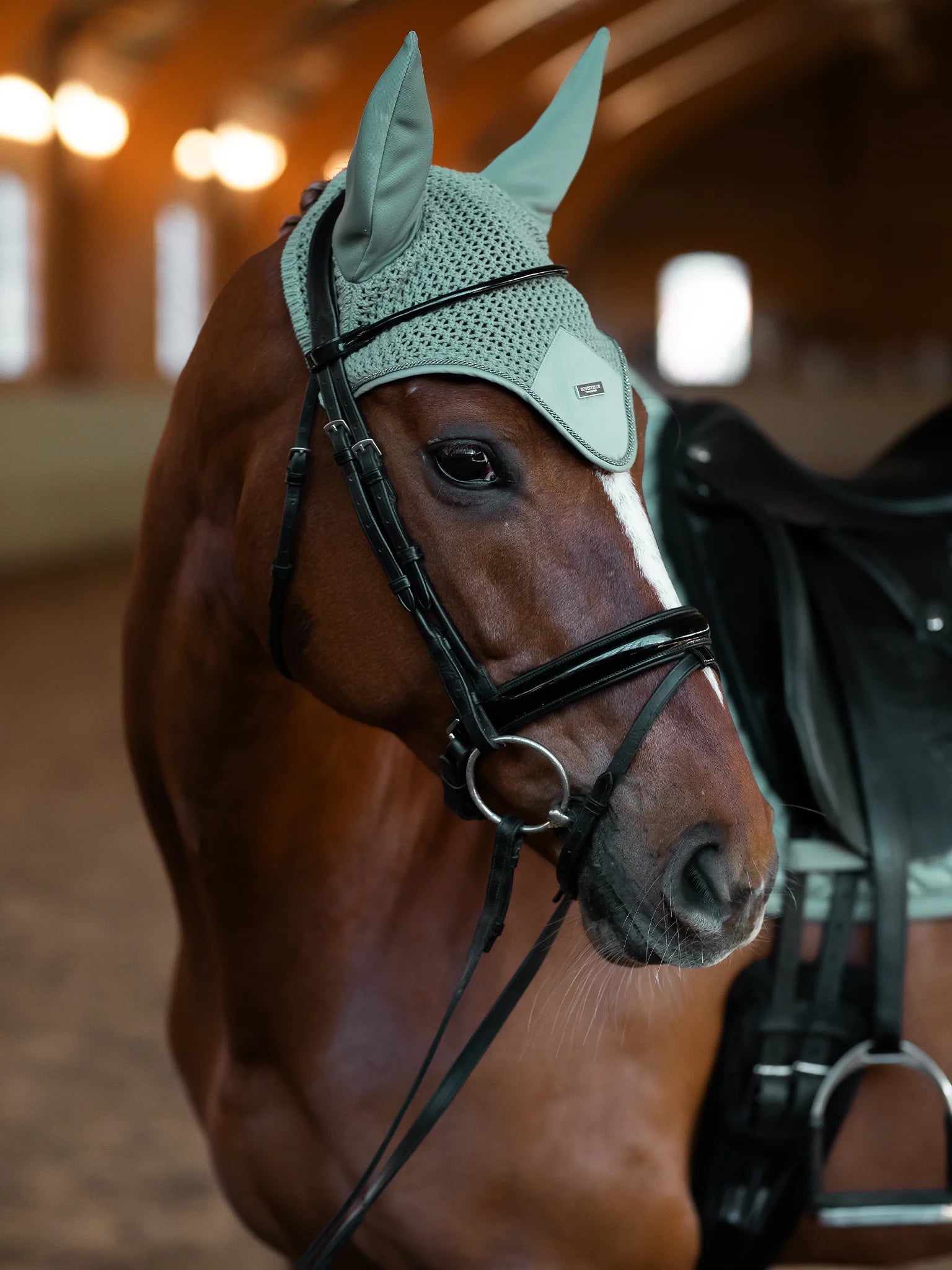 Equestrian Stockholm Modern Oornetje