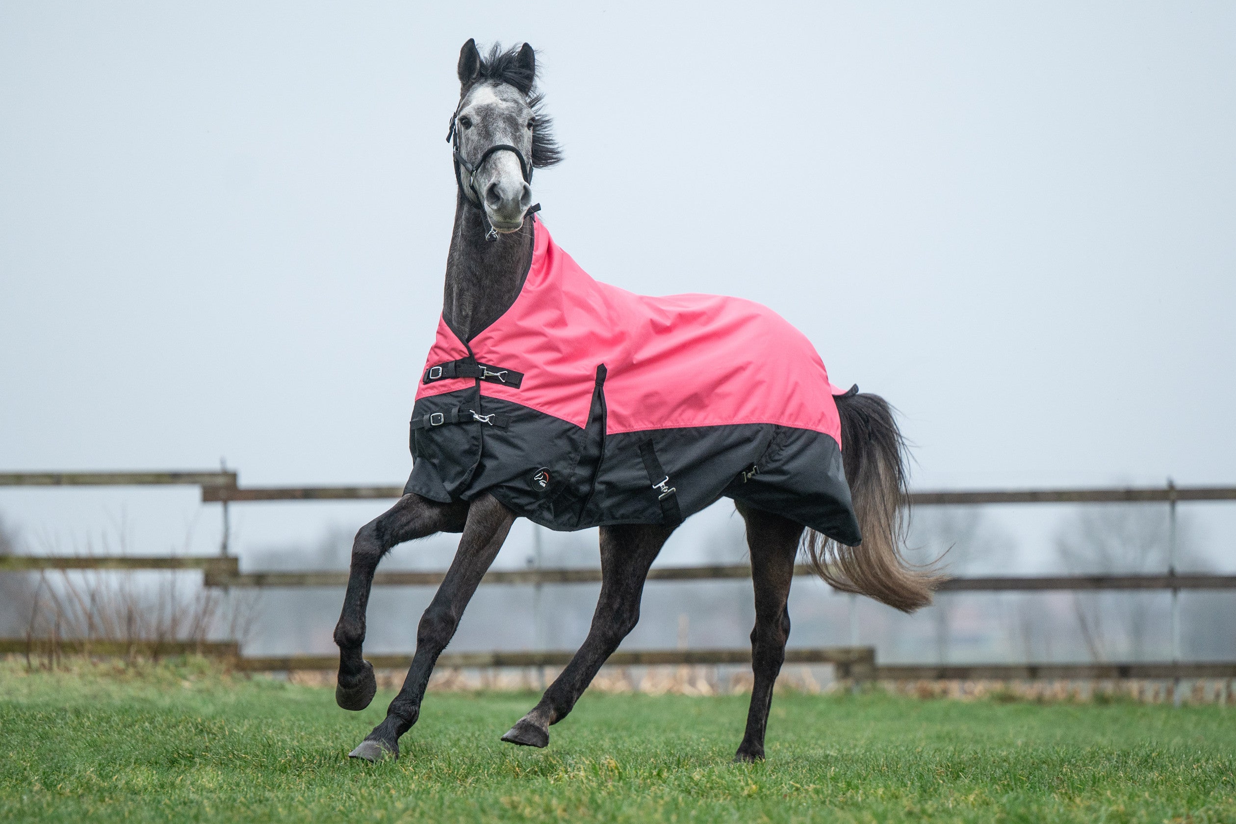 HKM Outdoordeken Norwich - 600D - 100gr