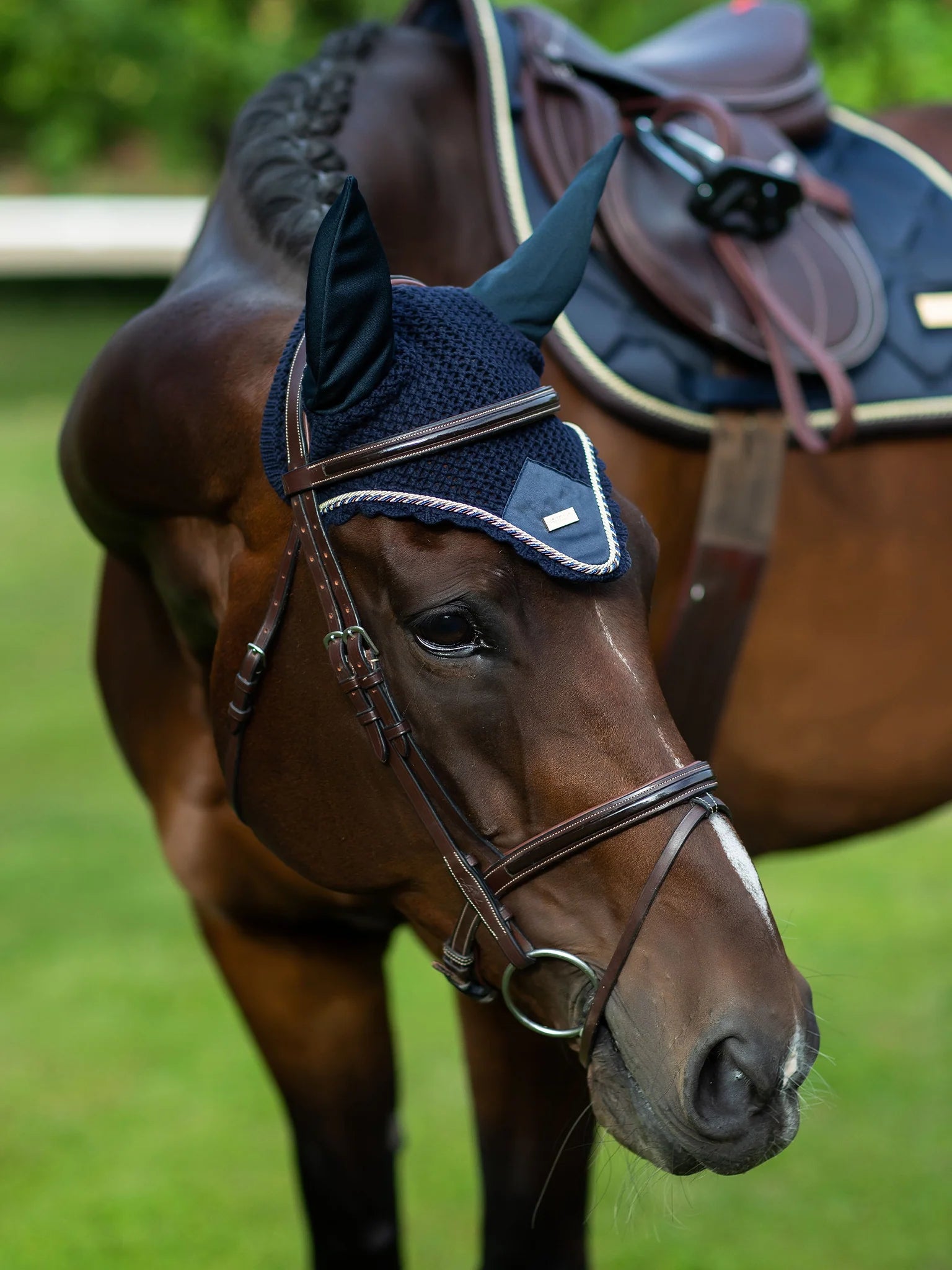 Equestrian Stockholm Oornetje Royal Classic