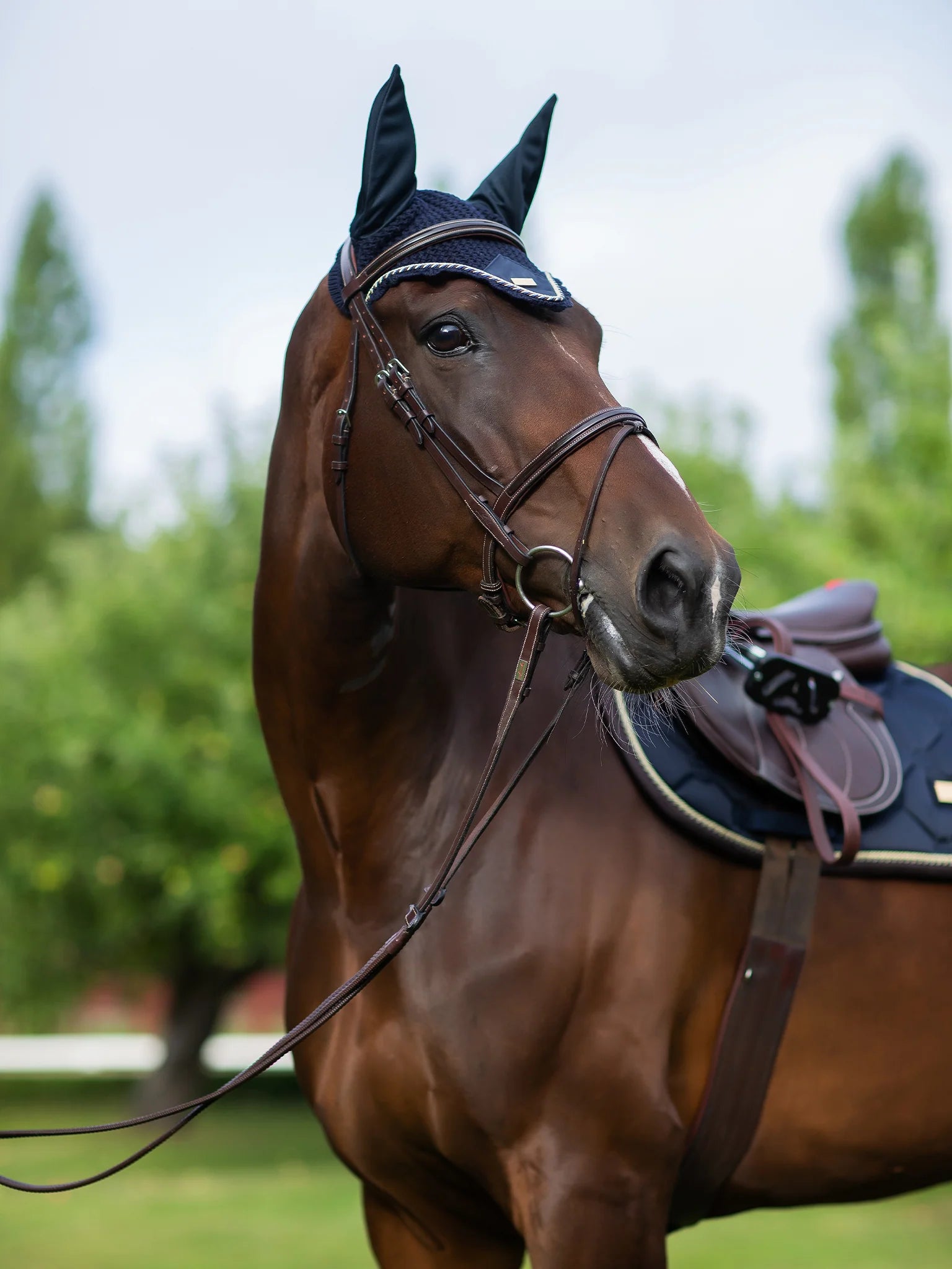 Equestrian Stockholm Oornetje Royal Classic