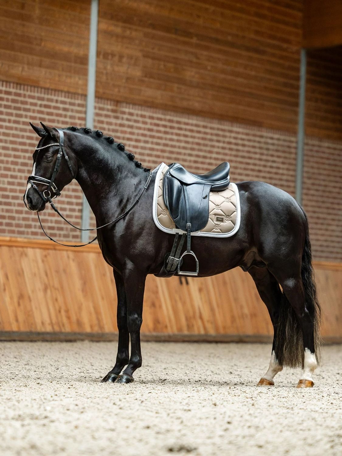 Equestrian Stockholm Dressuurdekje Sand-White