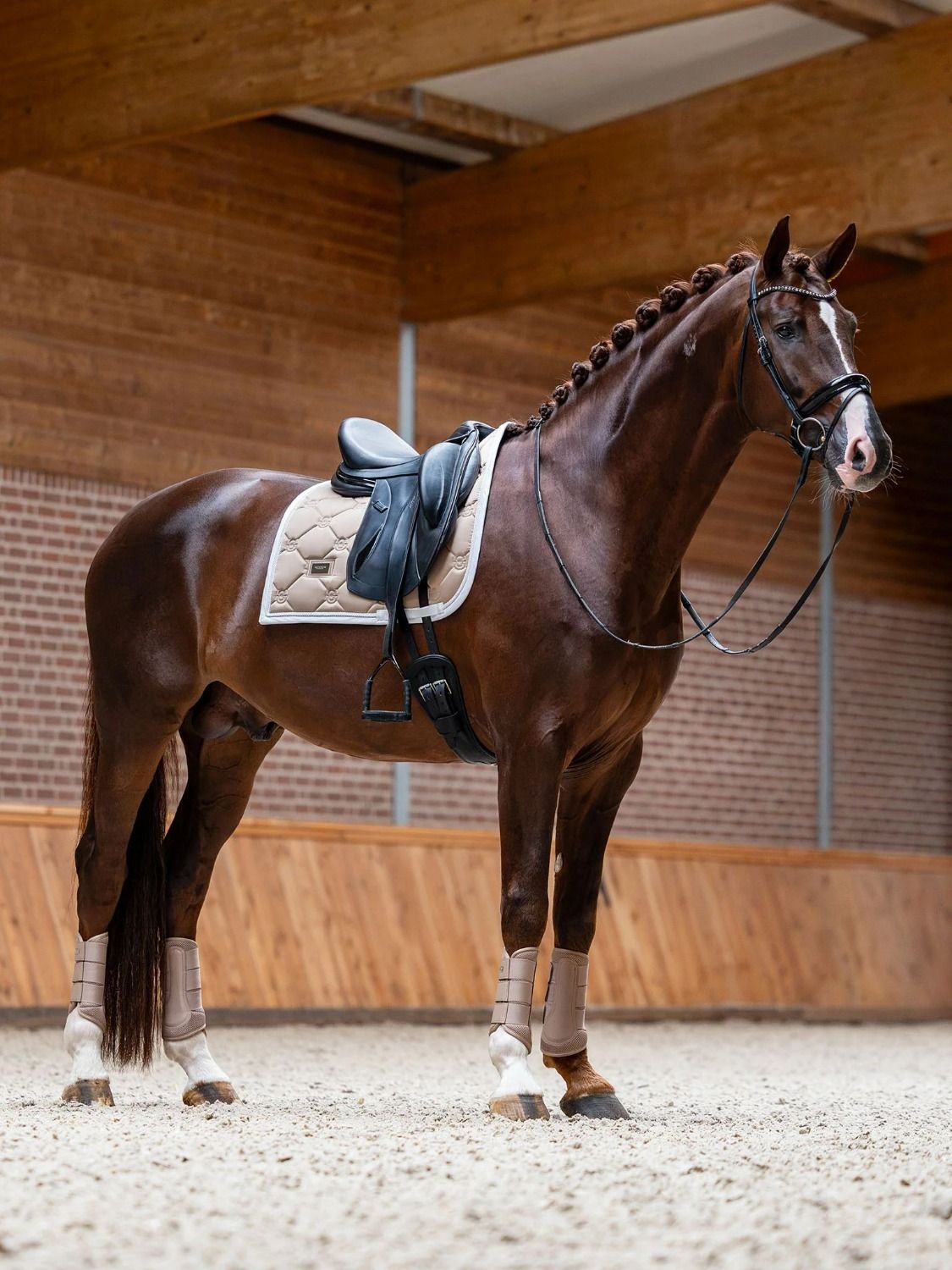 Equestrian Stockholm Dressuurdekje Sand-White
