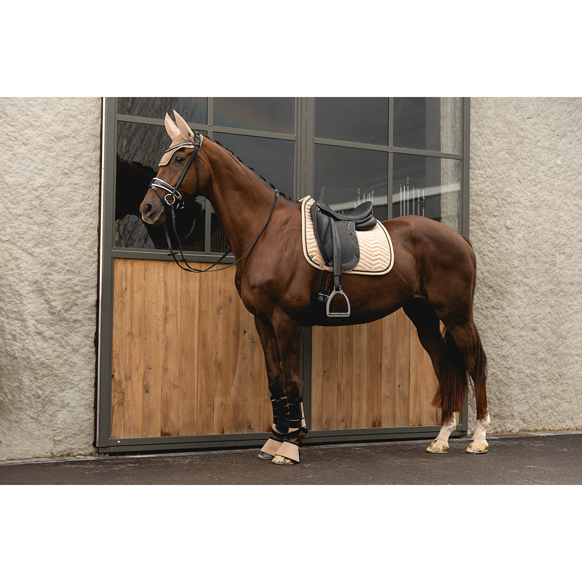 ANKY Dressuurdek Suede AW'25