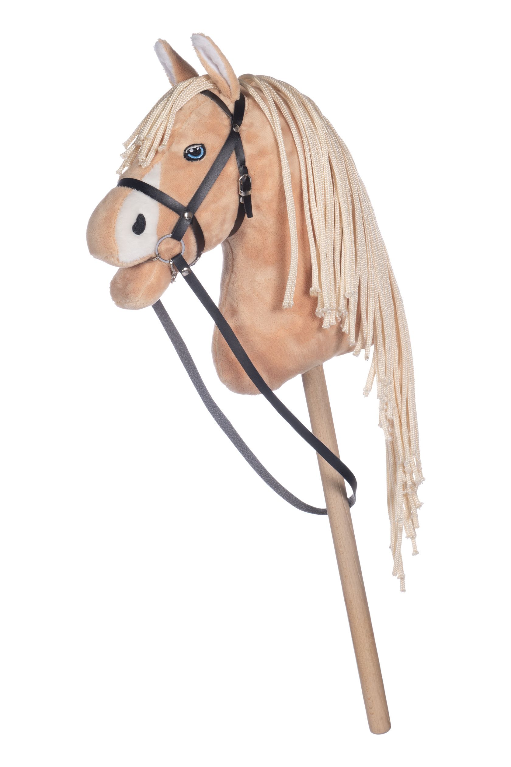 Hobby Horse