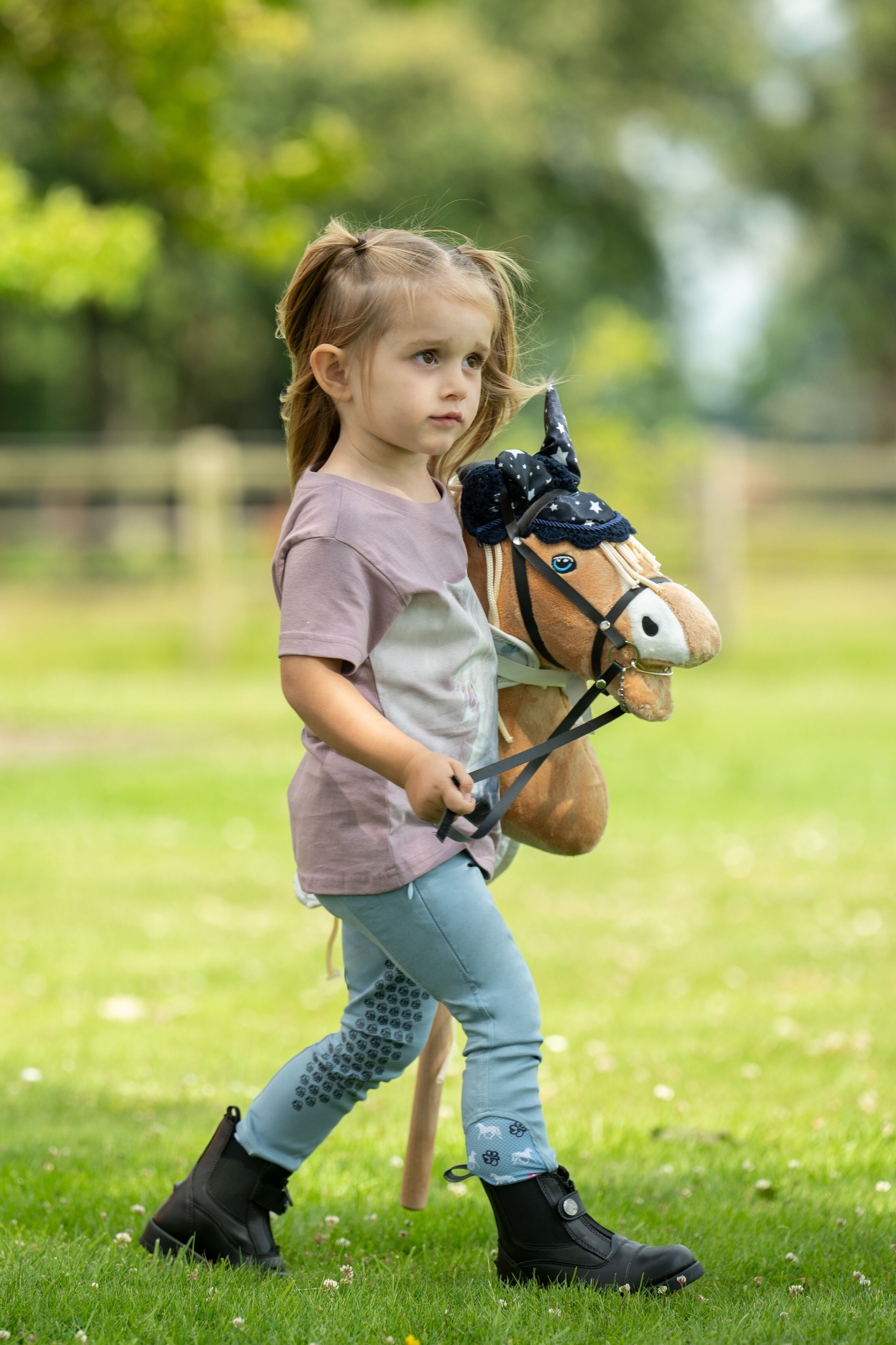 Hobby Horse