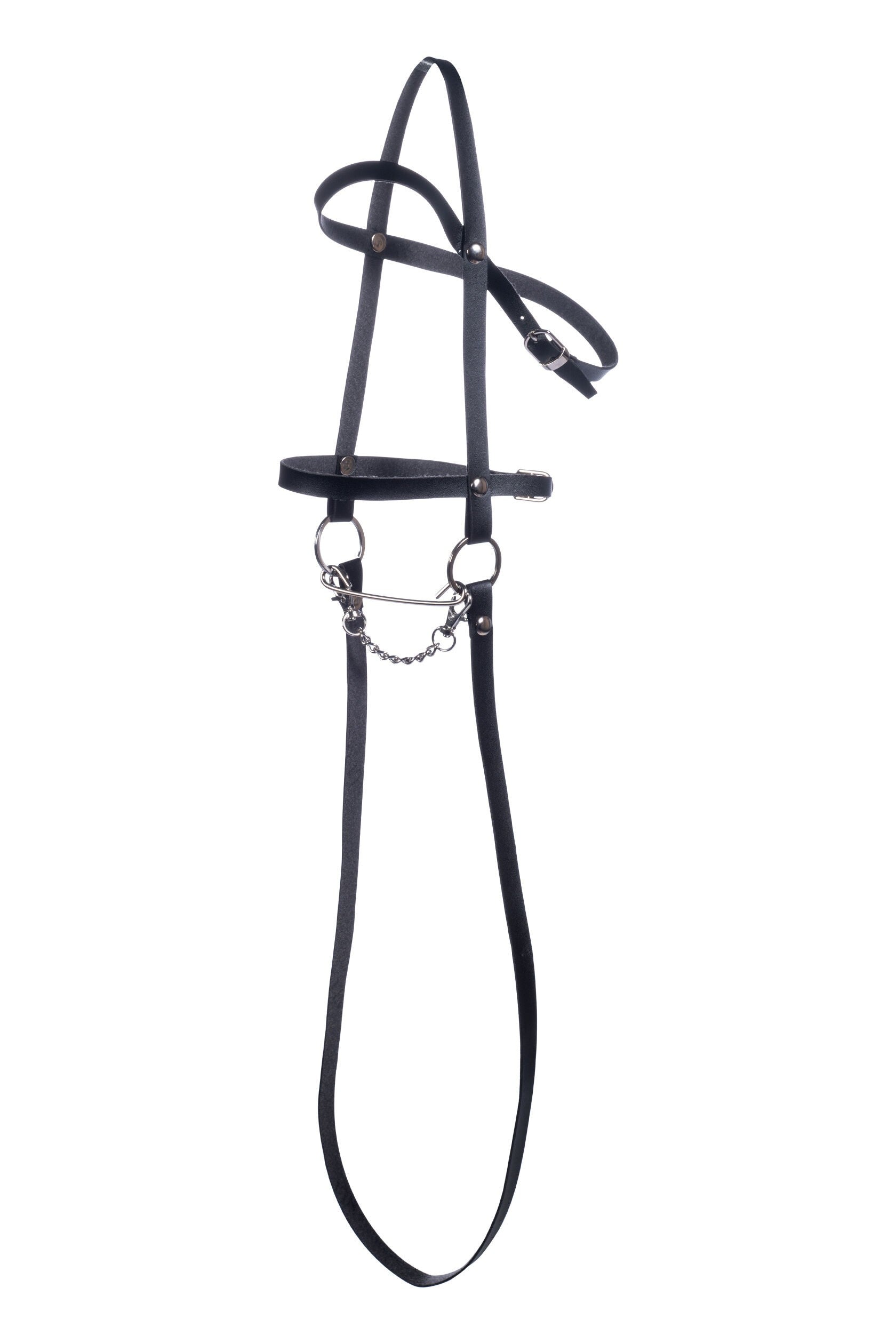 Hobby Horse