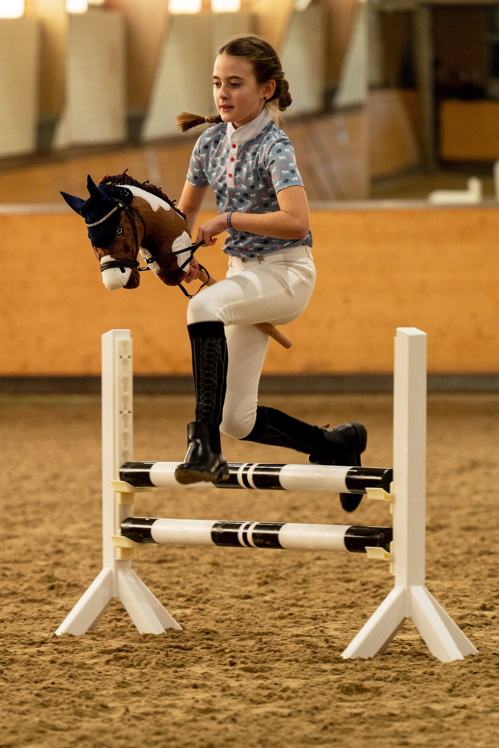 Hobby Horse