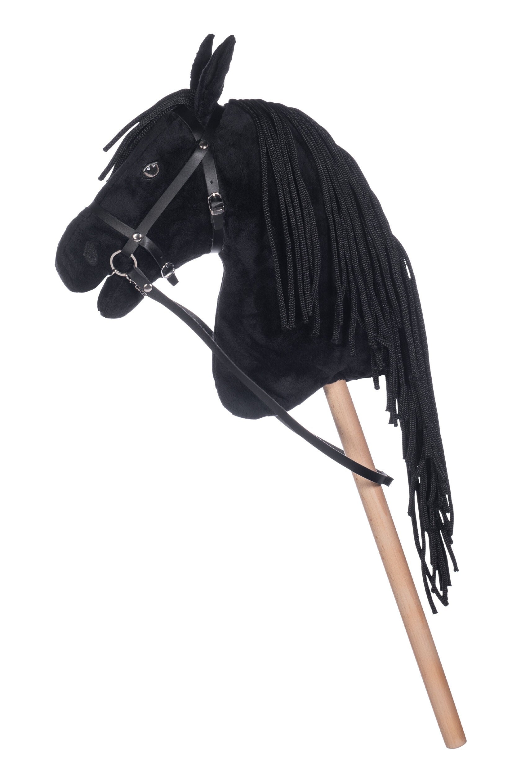 Hobby Horse