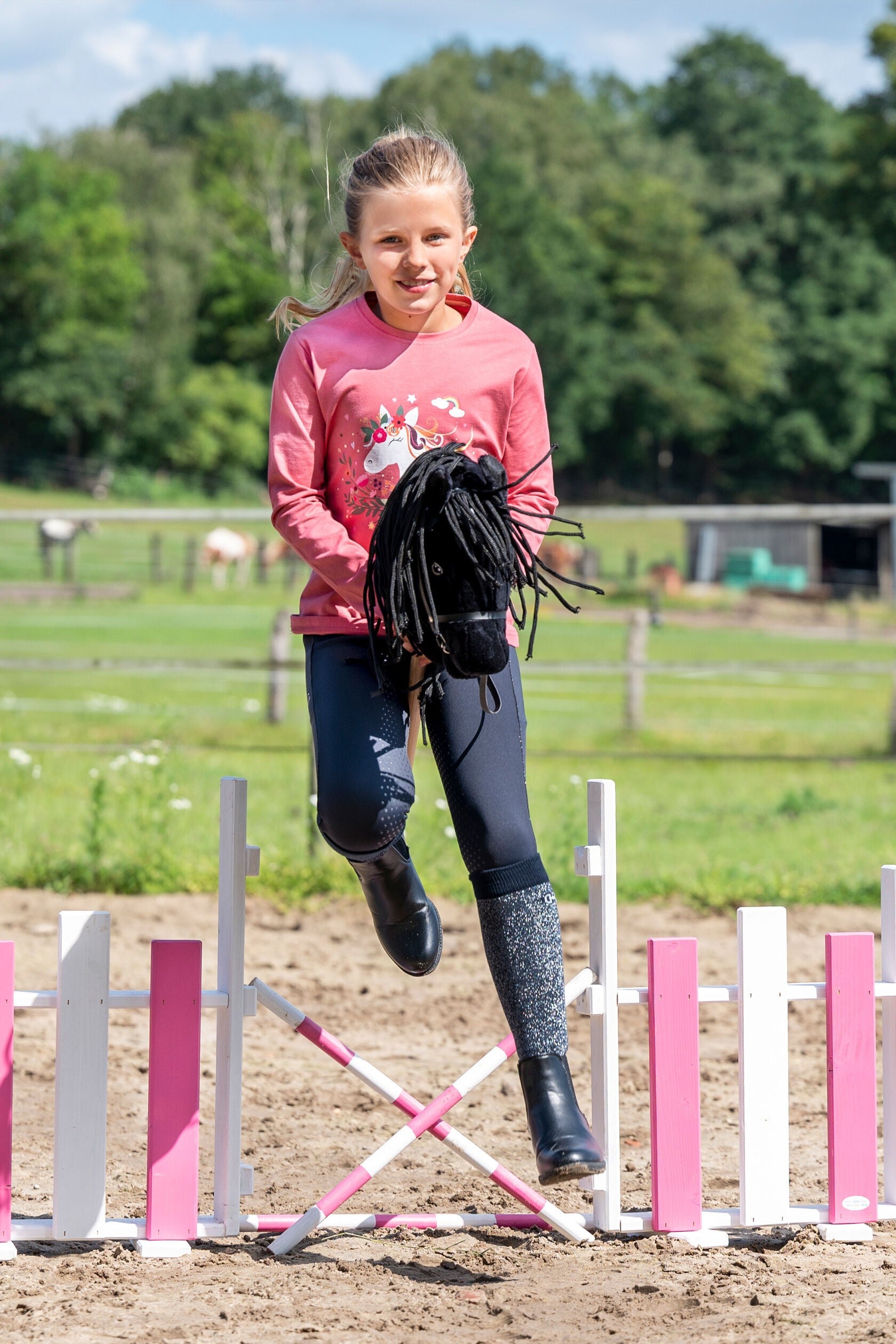 Hobby Horse