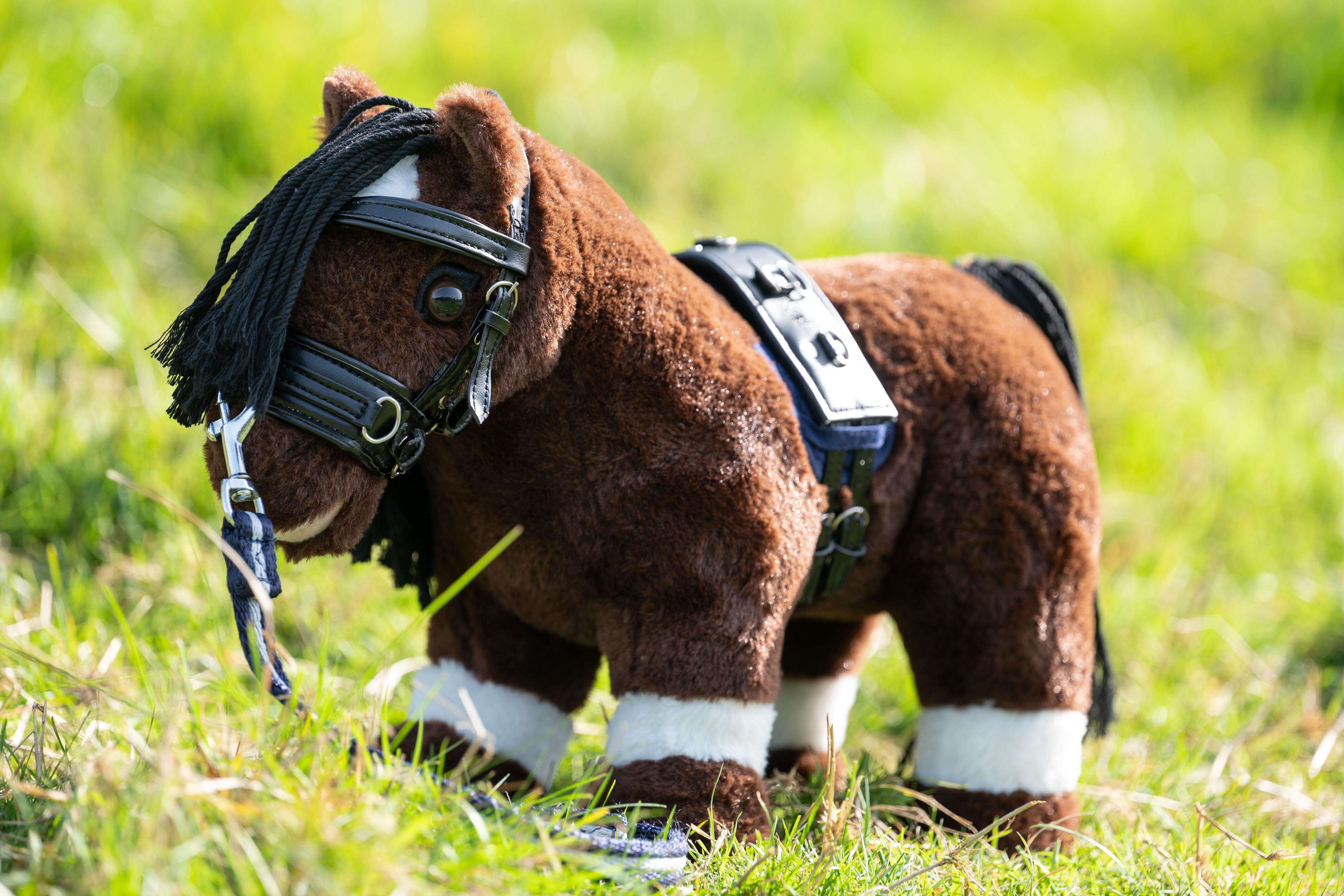 Cuddle Pony longeerset