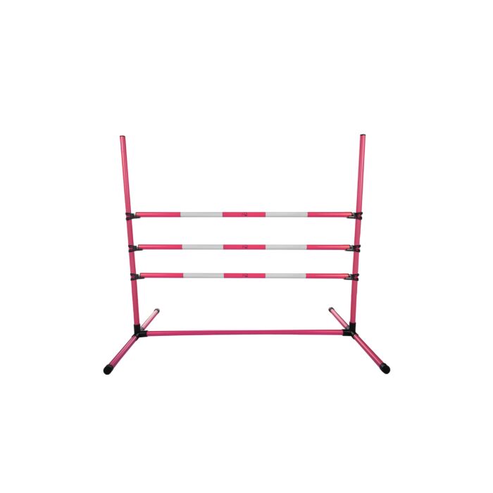 Springset Hobby Horse
