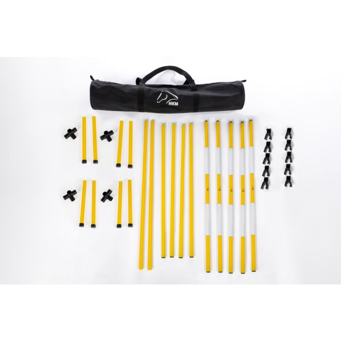 Springset Hobby Horse