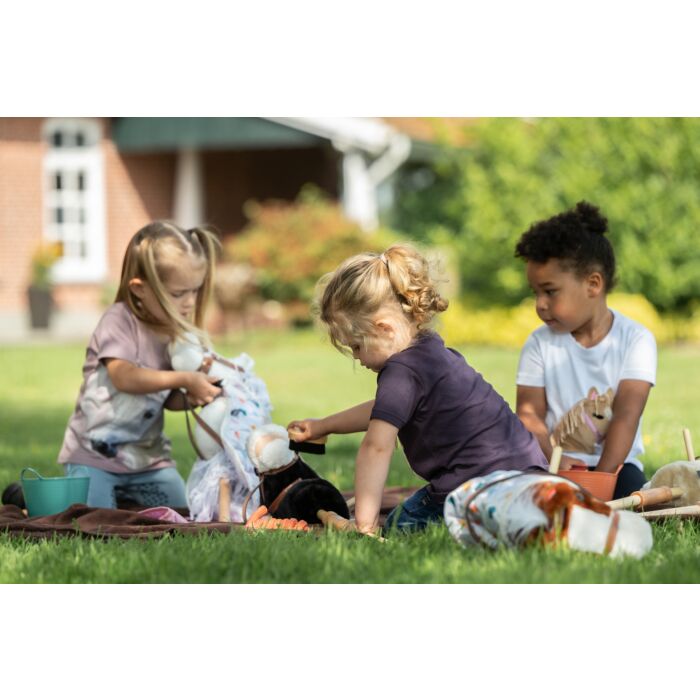 Houten Poetsset Hobby Horse