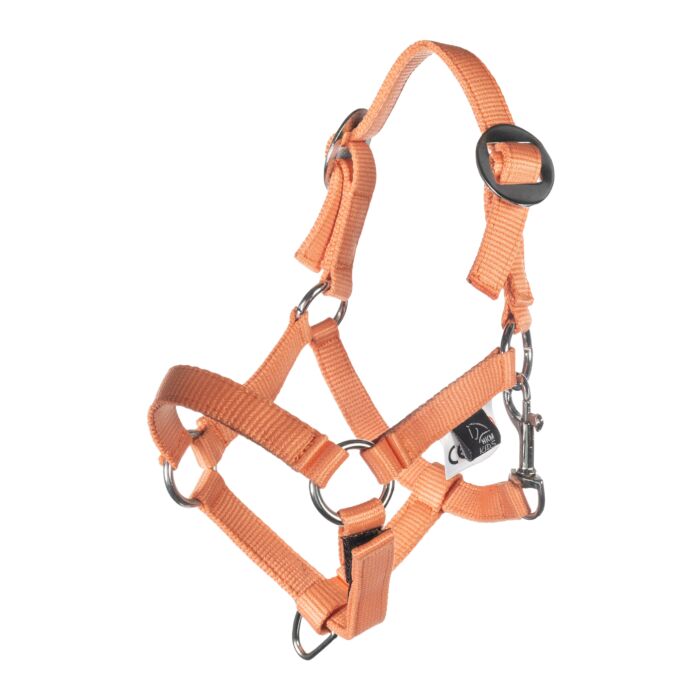 Halsterset Hobby Horse