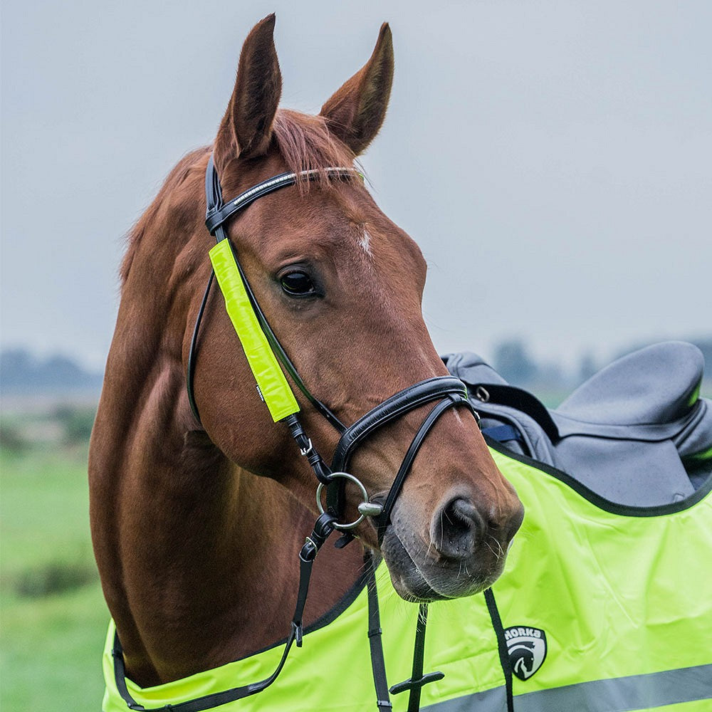 Hoofdstel/teugel cover reflecterend