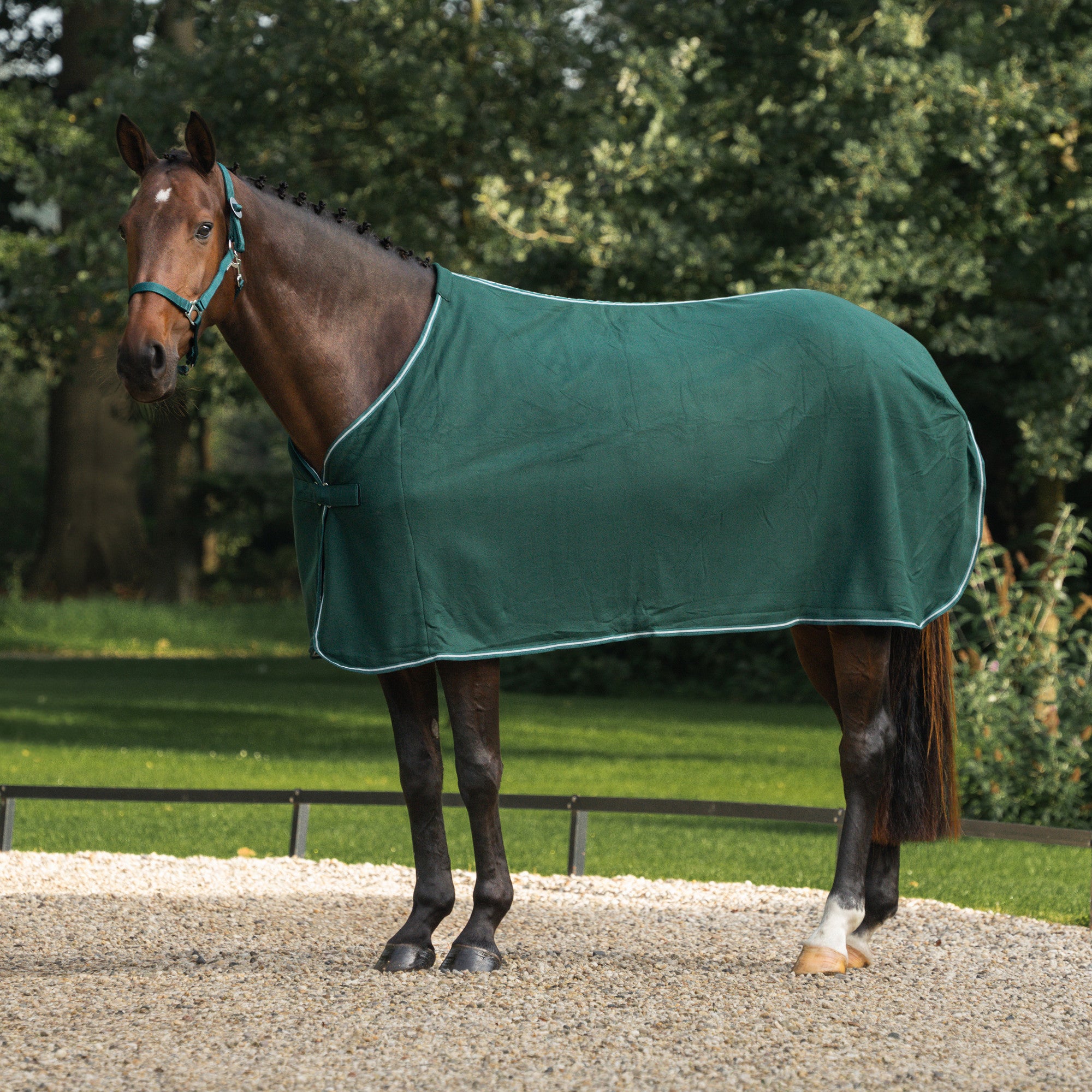 Economy Fleece cooler