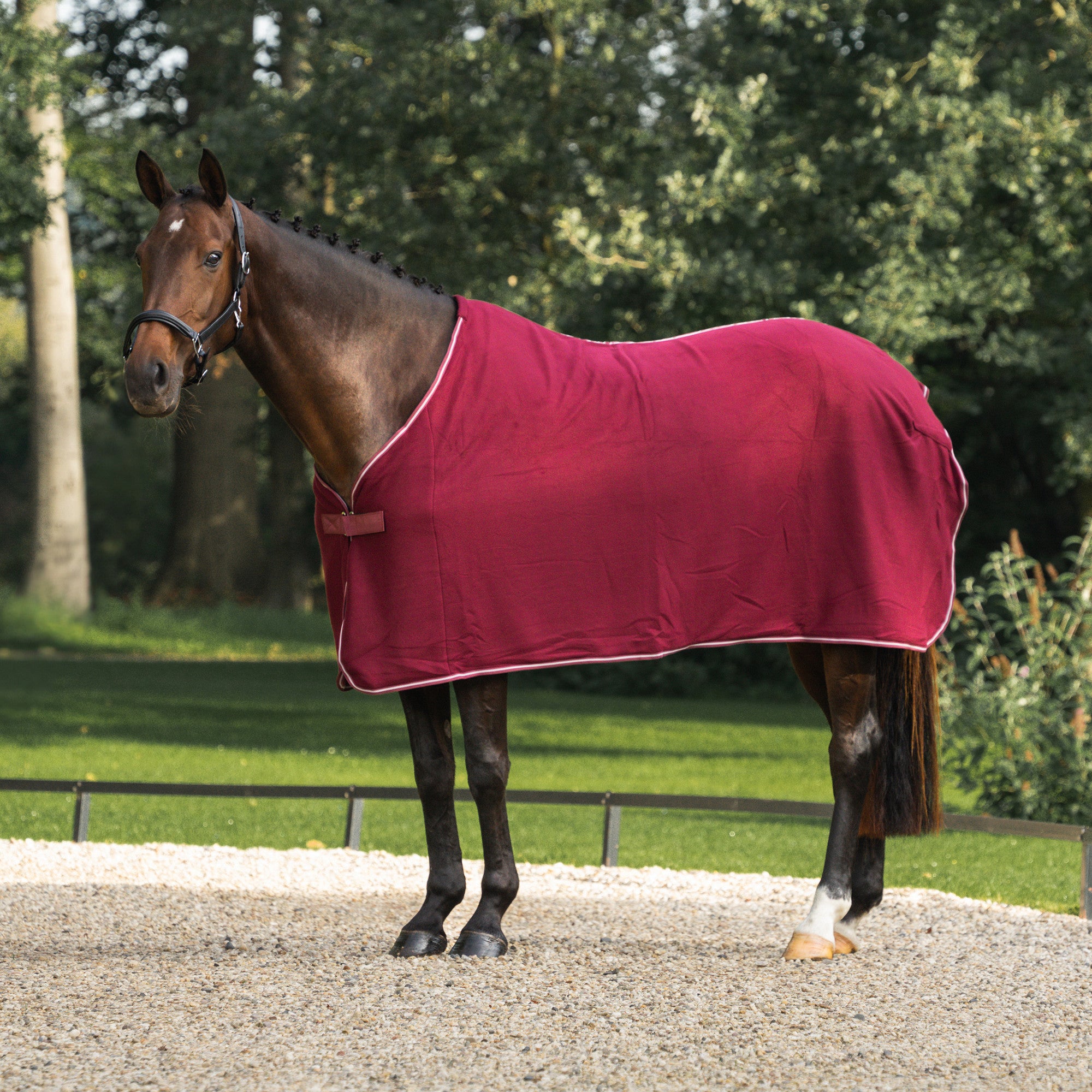 Economy Fleece cooler