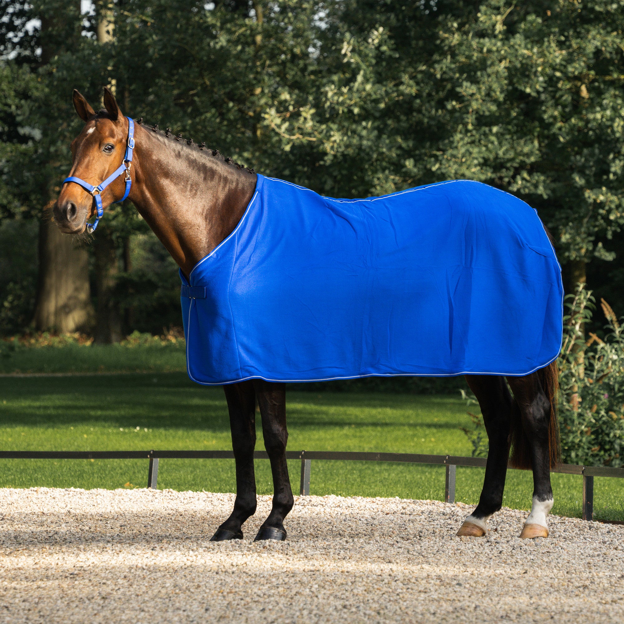Economy Fleece cooler
