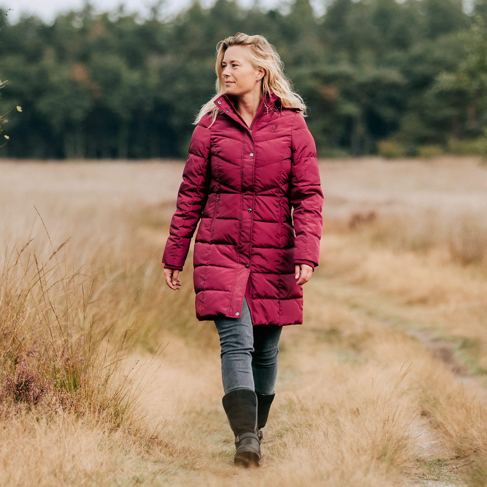 Horka Winterjas Glacier