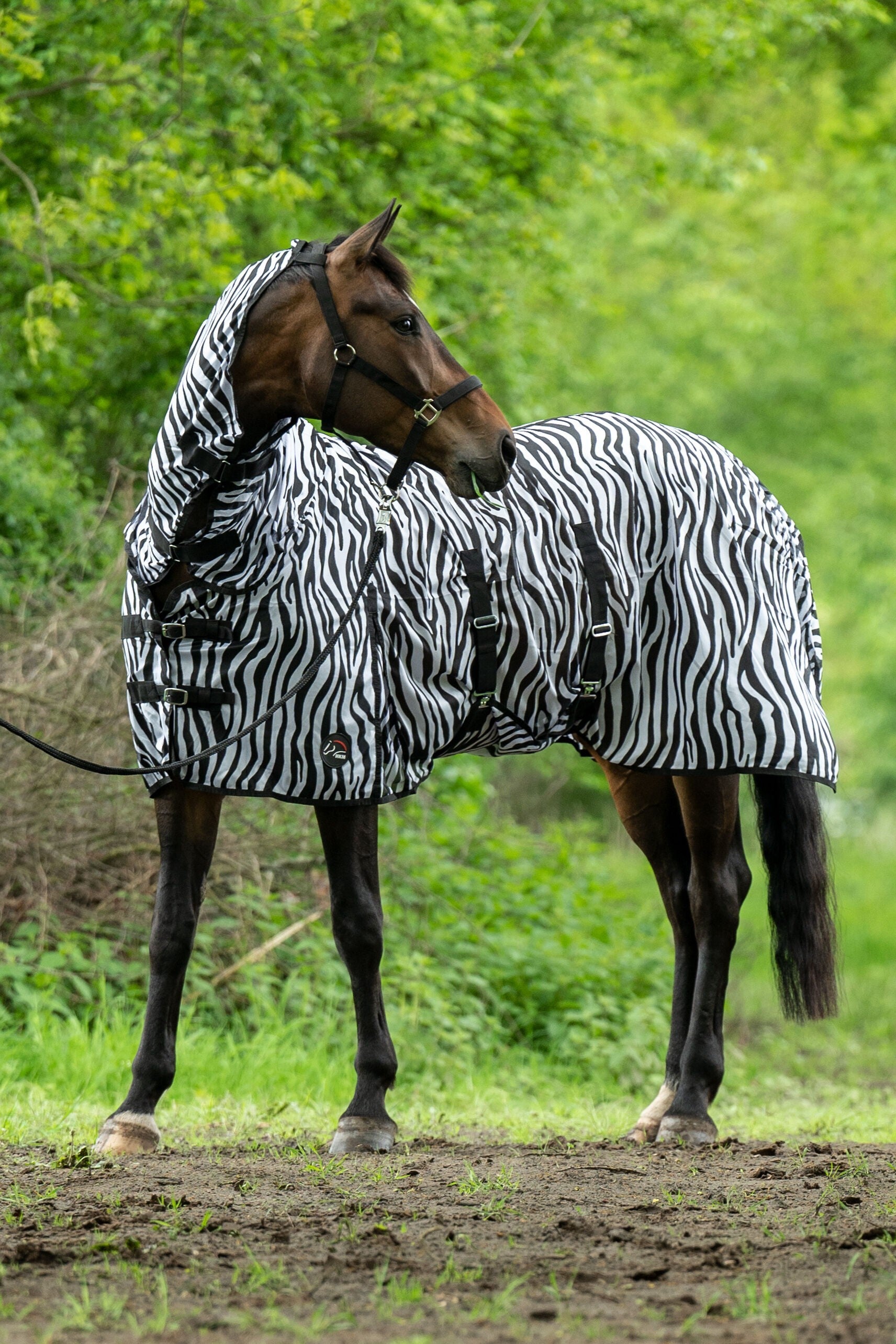 HKM Zebra Vliegendeken met hals