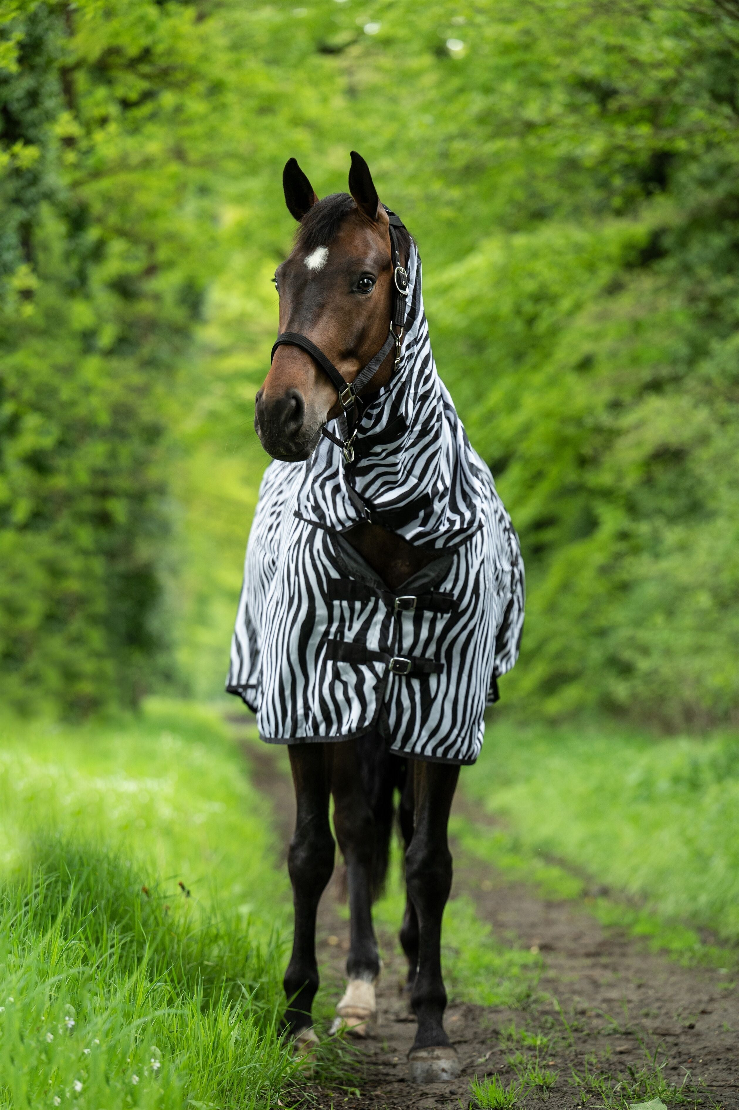 HKM Zebra Vliegendeken met hals