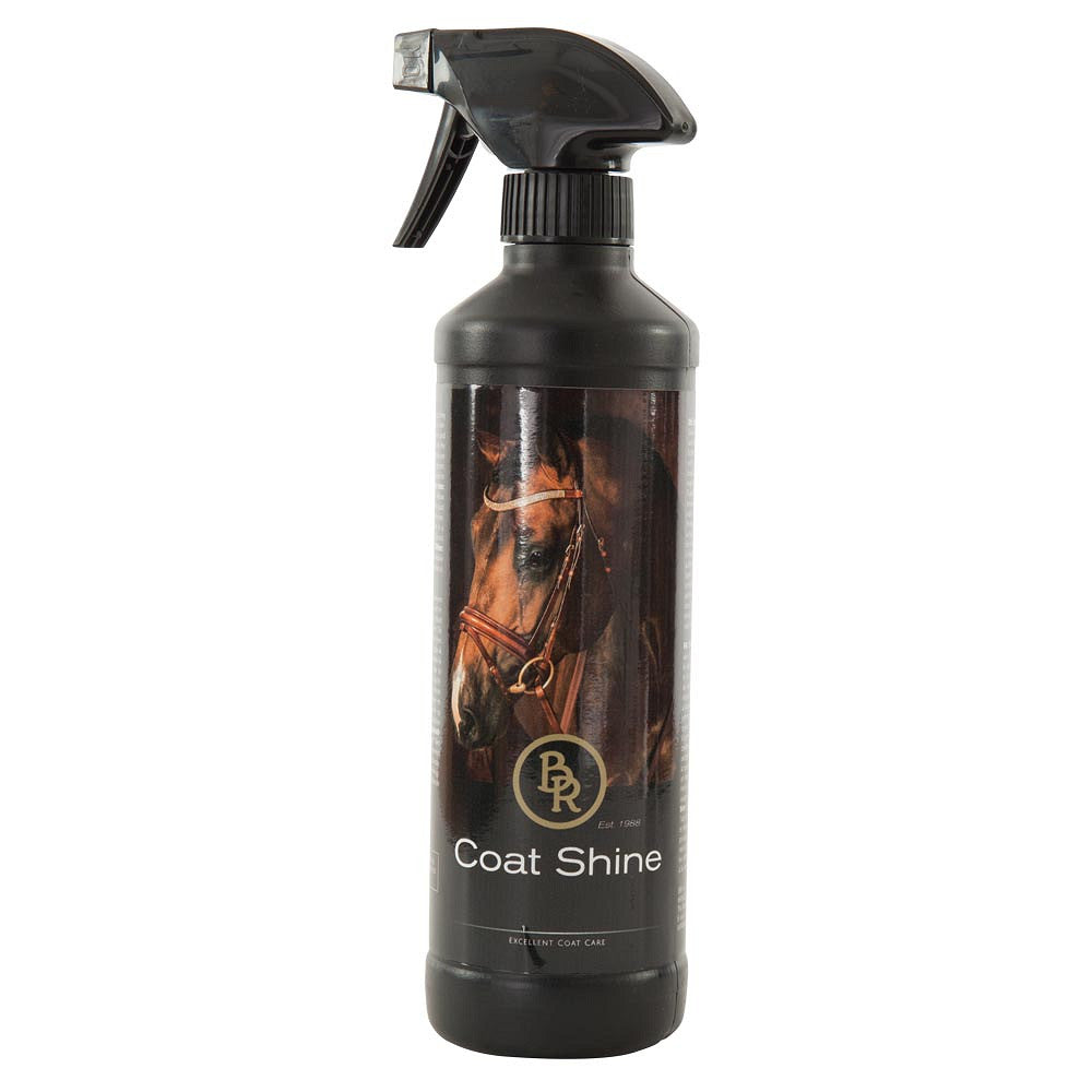 BR glansspray 500 ml VE6