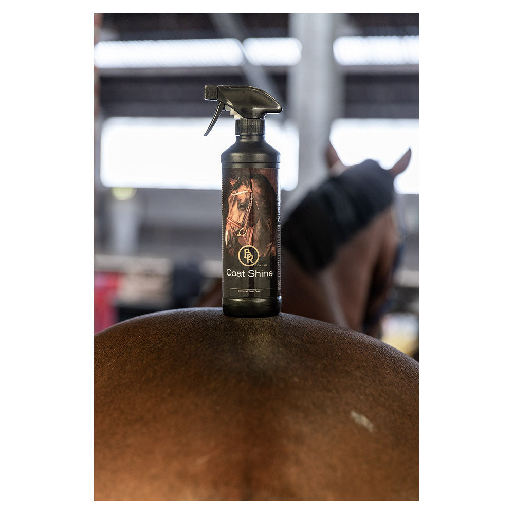 BR glansspray 500 ml VE6