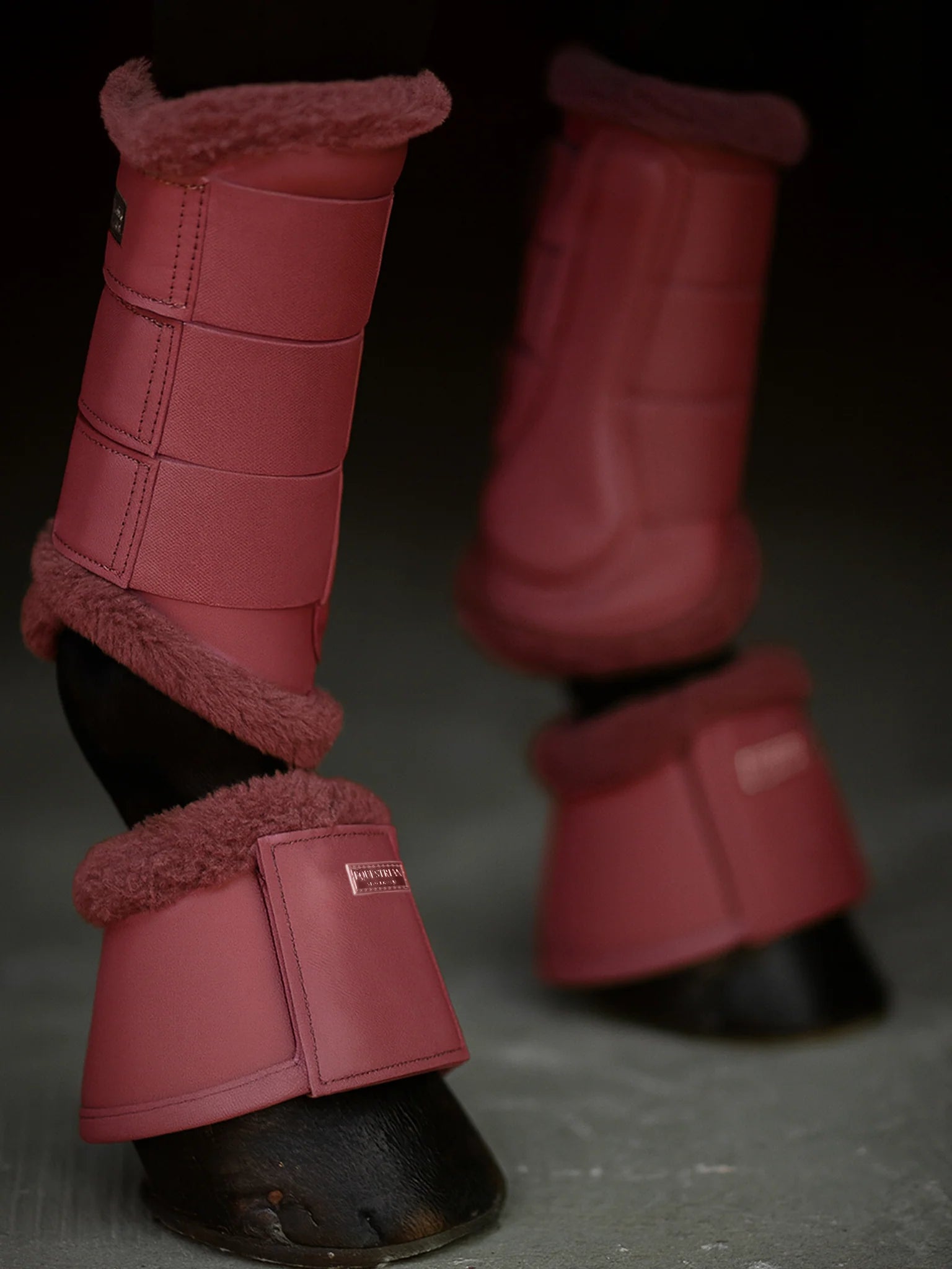 Equestrian Stockholm Springschoenen Amber Rose RIDE AGAINST CANCER!