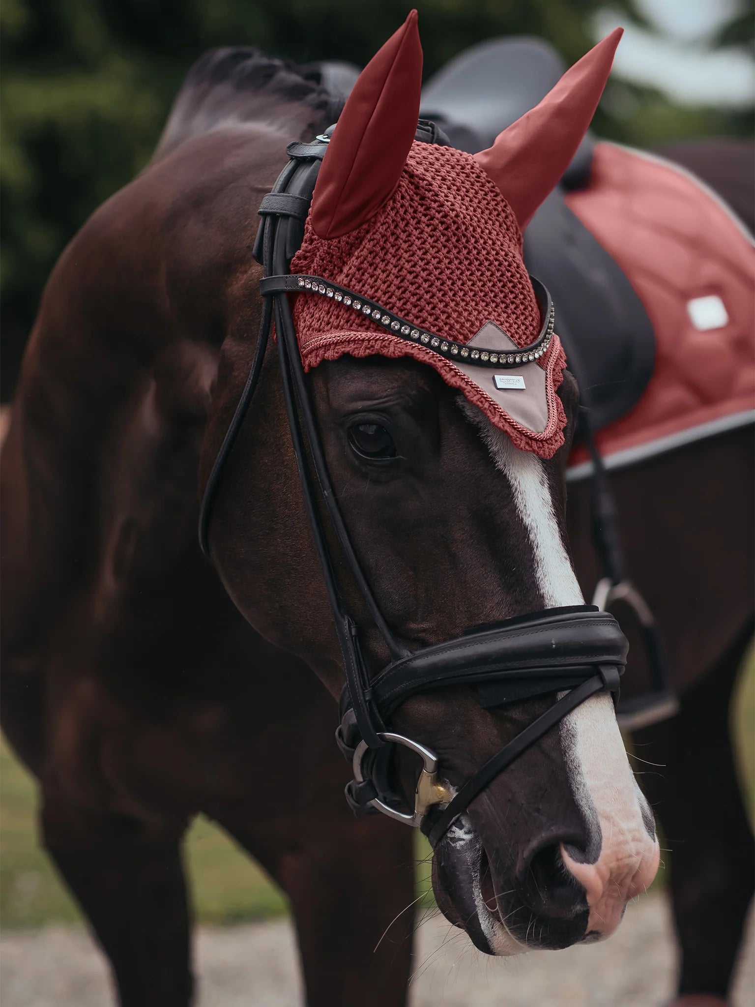Equestrian Stockholm Modern Oornetje RIDE AGAINST CANCER!