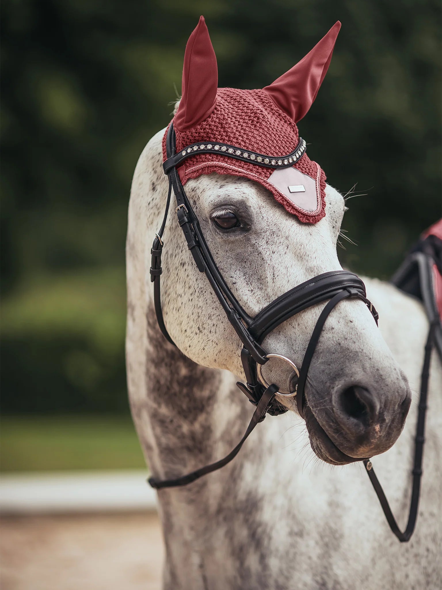 Equestrian Stockholm Modern Oornetje RIDE AGAINST CANCER!