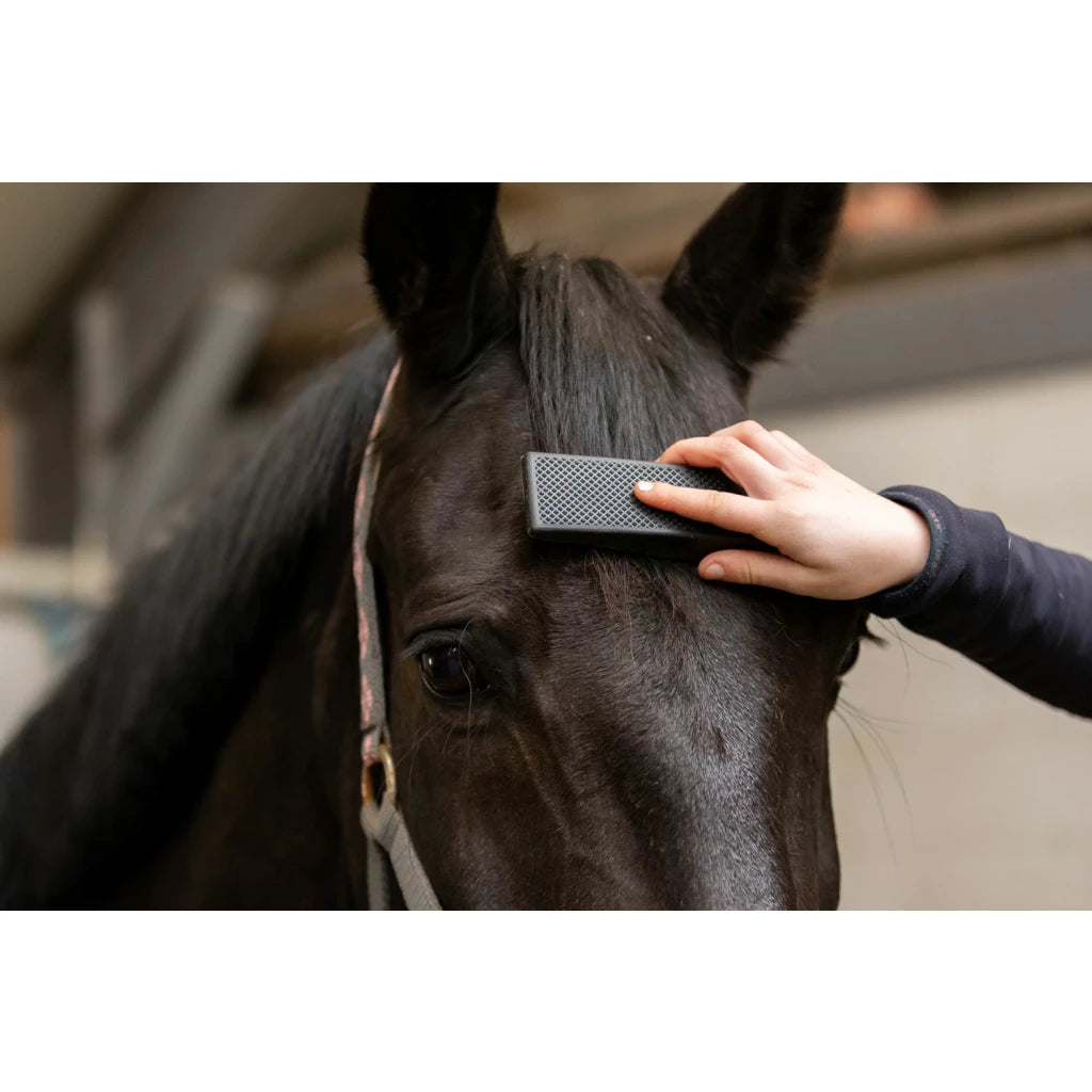 Excellence Horse Grooming Brush