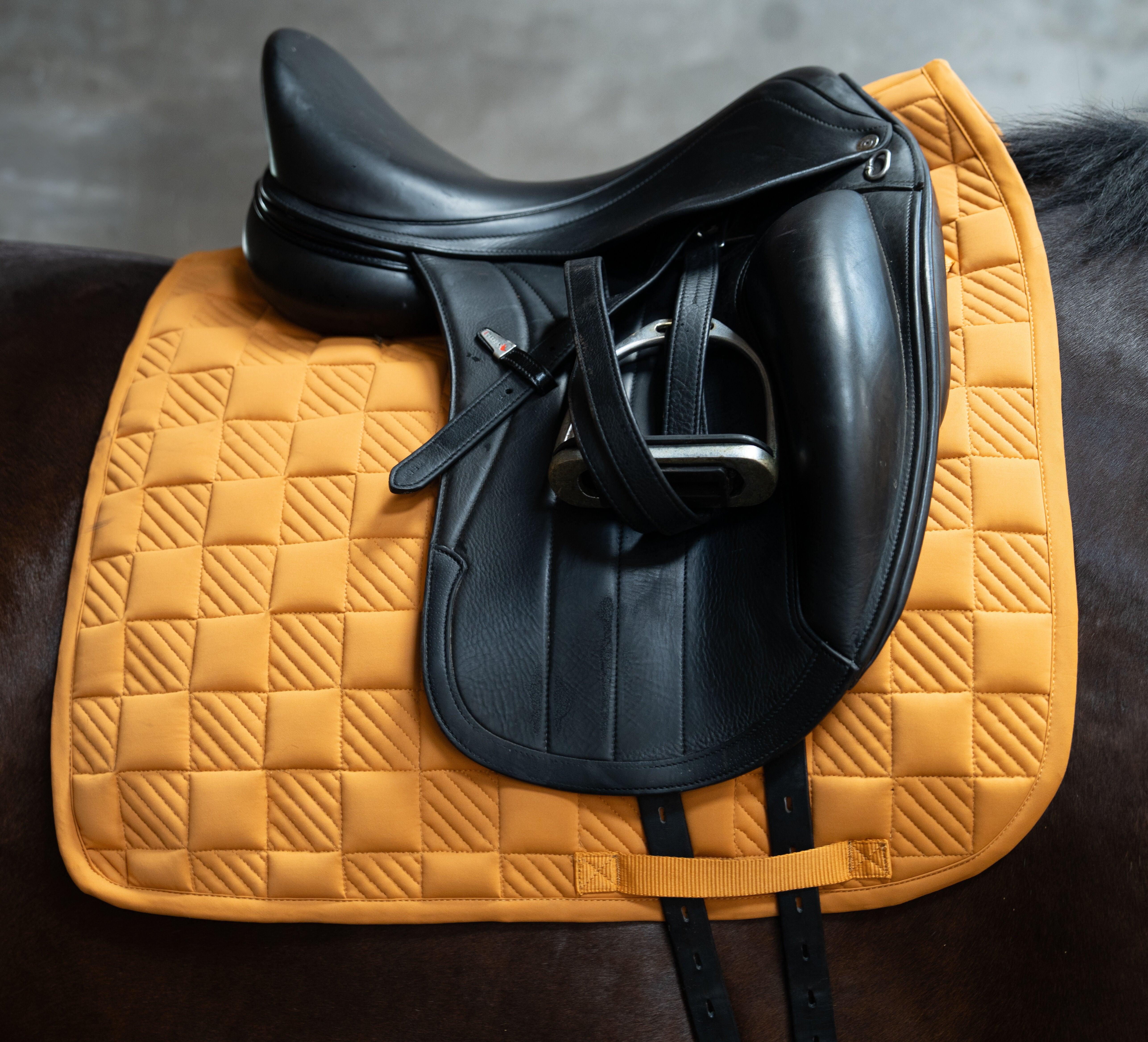 HKM Laura Garelli Zadeldek Arezzo Sporty