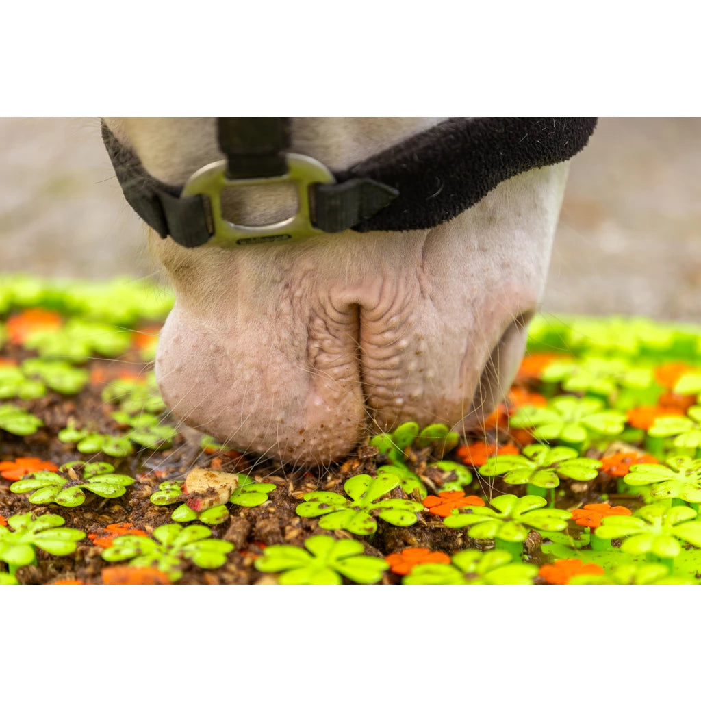 Excellent Horse Snuffle Mat