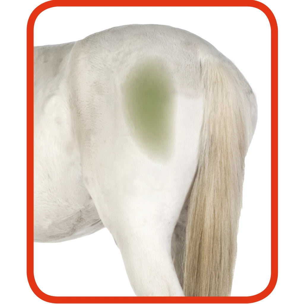 Excellent Horse Hi Gloss Clean Spray
