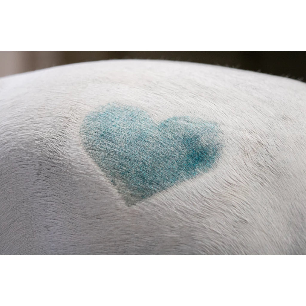 Excellence Horse Hi Gloss Glitter Spray 250ML