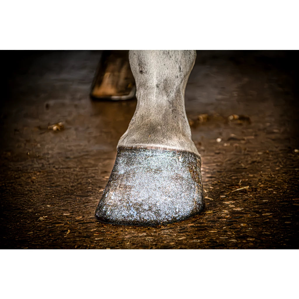 Excellence Horse Hi Gloss Glitter Hoof Polish