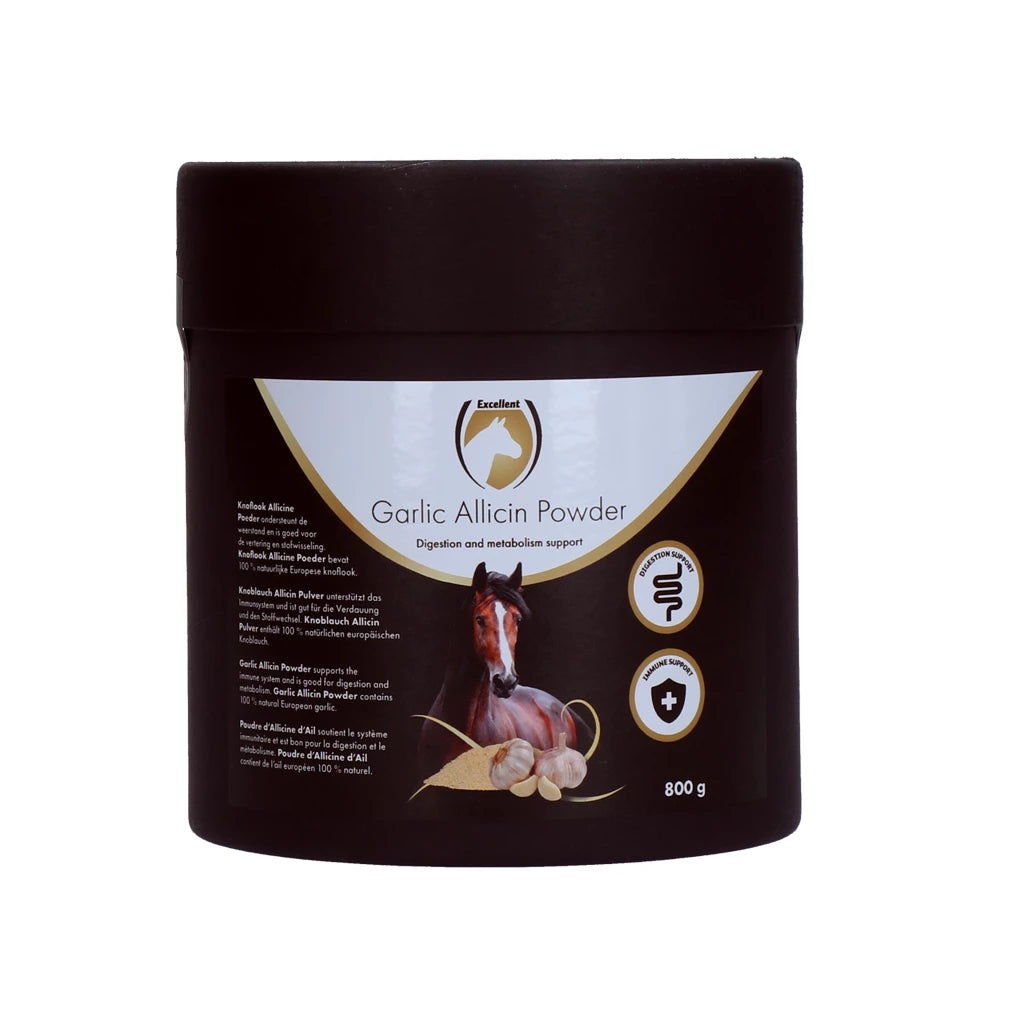 Excellent Horse Garlic Allicin Powder 800GR