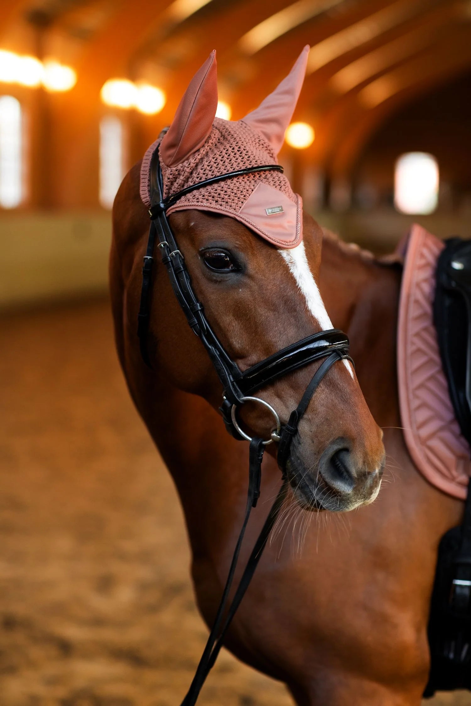 Equestrian Stockholm Modern Oornetje