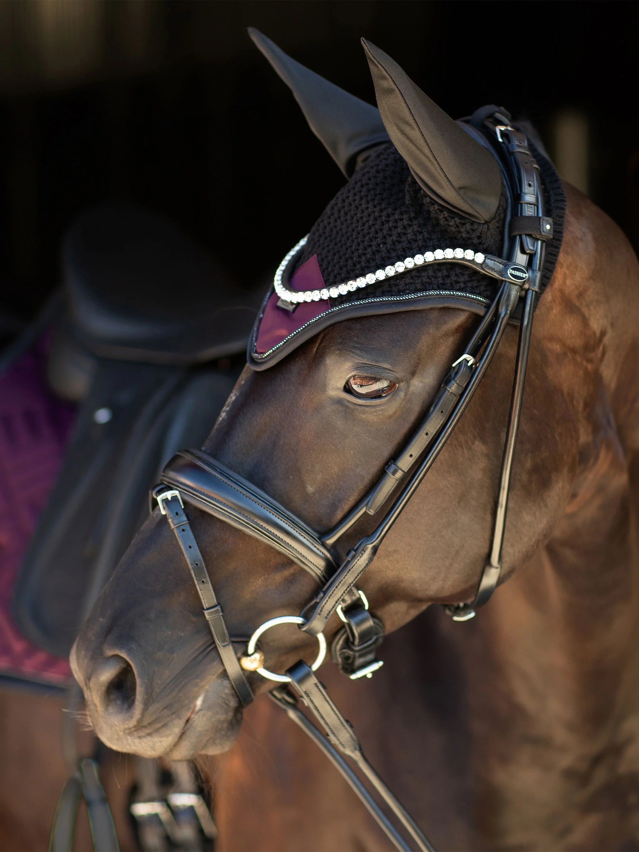 Equestrian Stockholm Modern Purple Night Oornetje