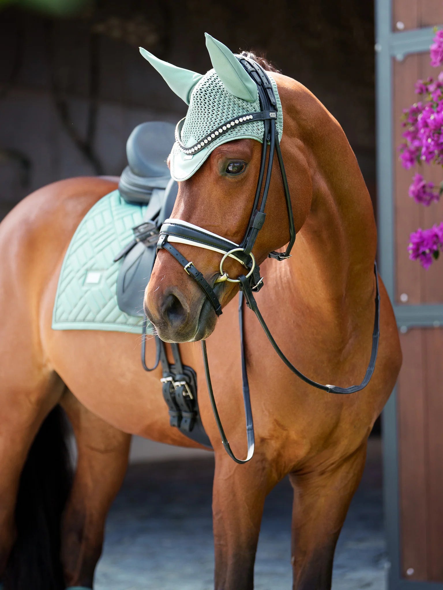 Equestrian Stockholm Modern Zadeldek