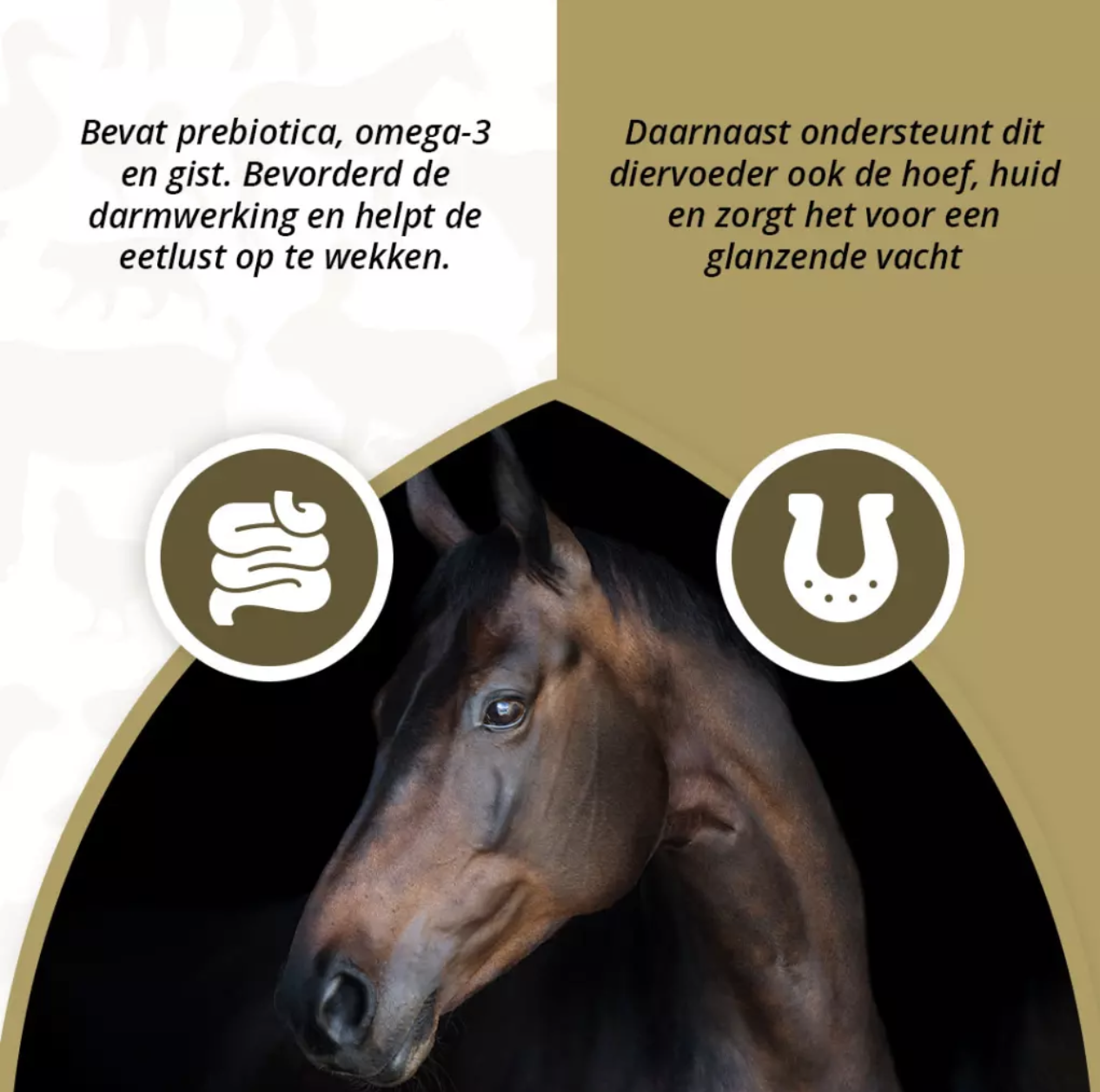 Excellent Horse Prebiotics