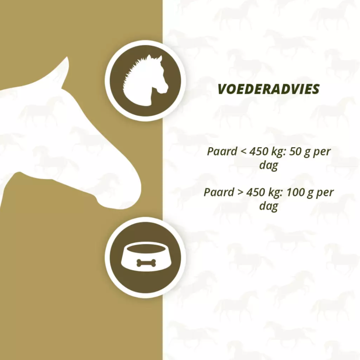 Excellent Horse Prebiotics