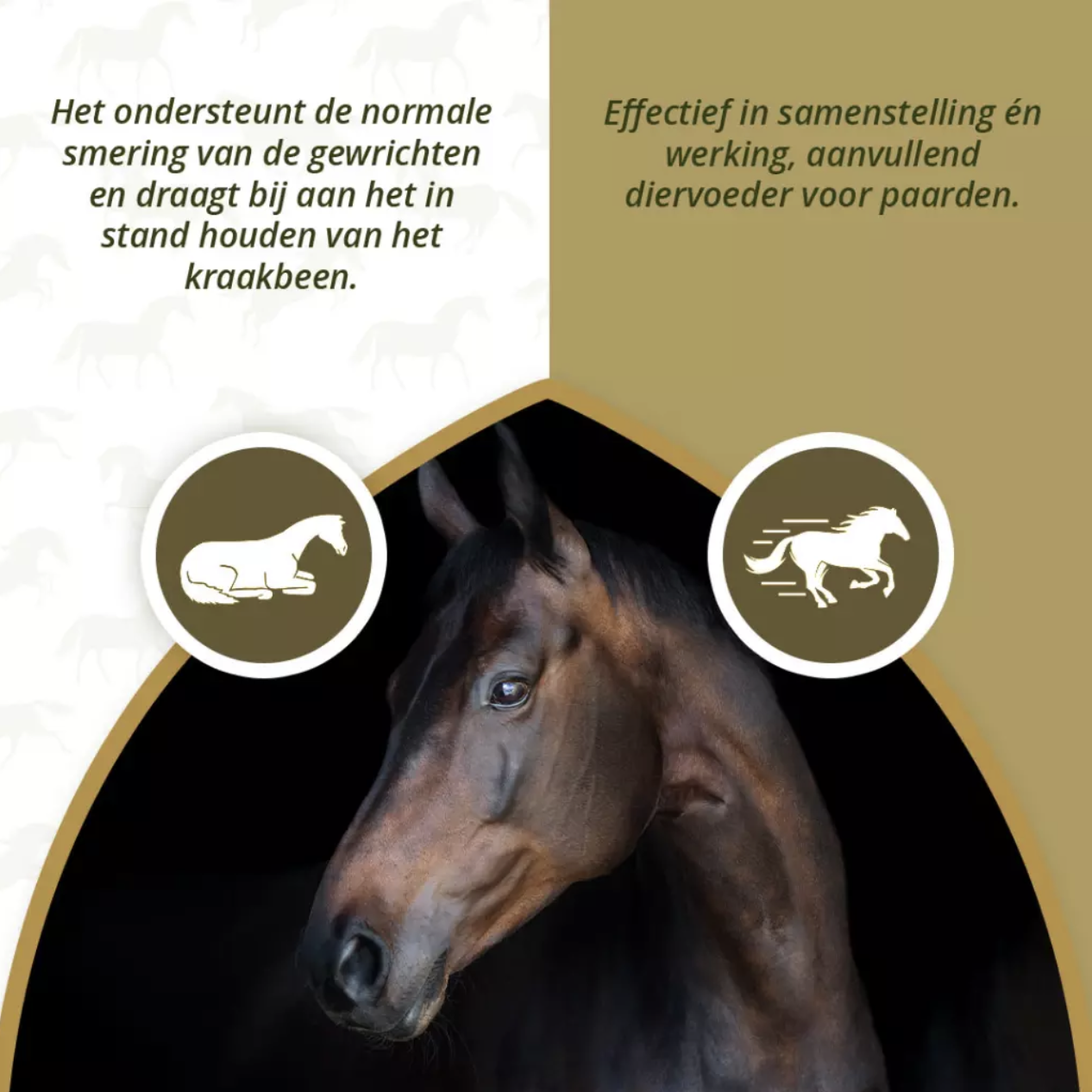 Excellent Horse Mobility Plus