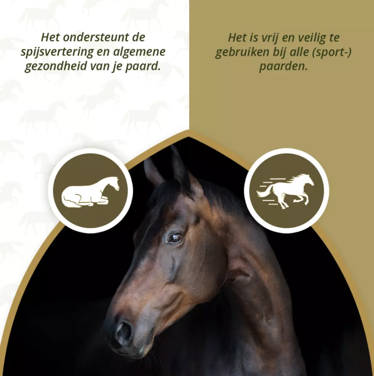 Excellent Horse Purefree