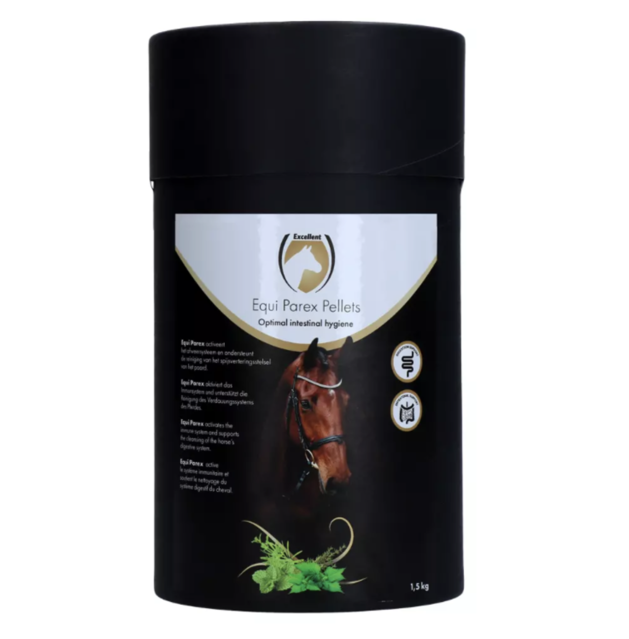 Excellent Horse Parax