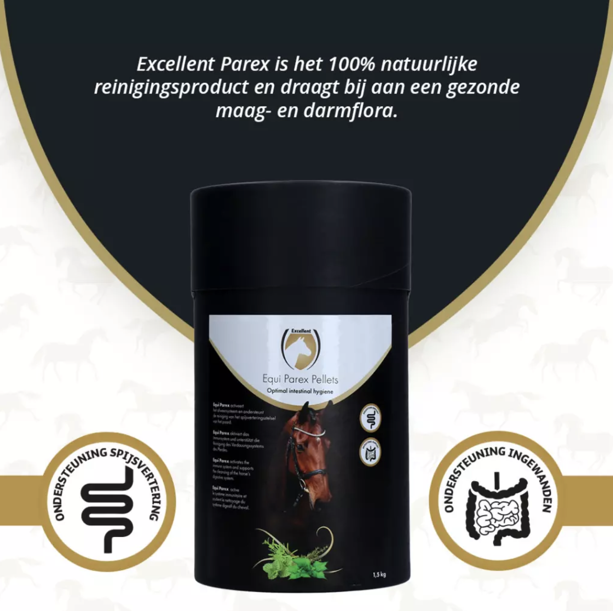 Excellent Horse Parax