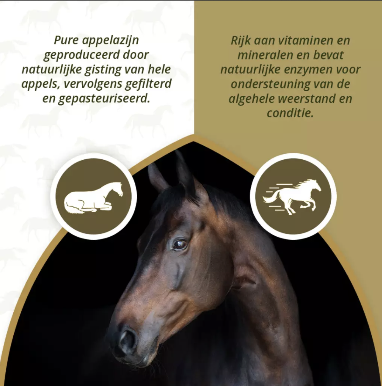 Excellent Horse Apple Vinegar