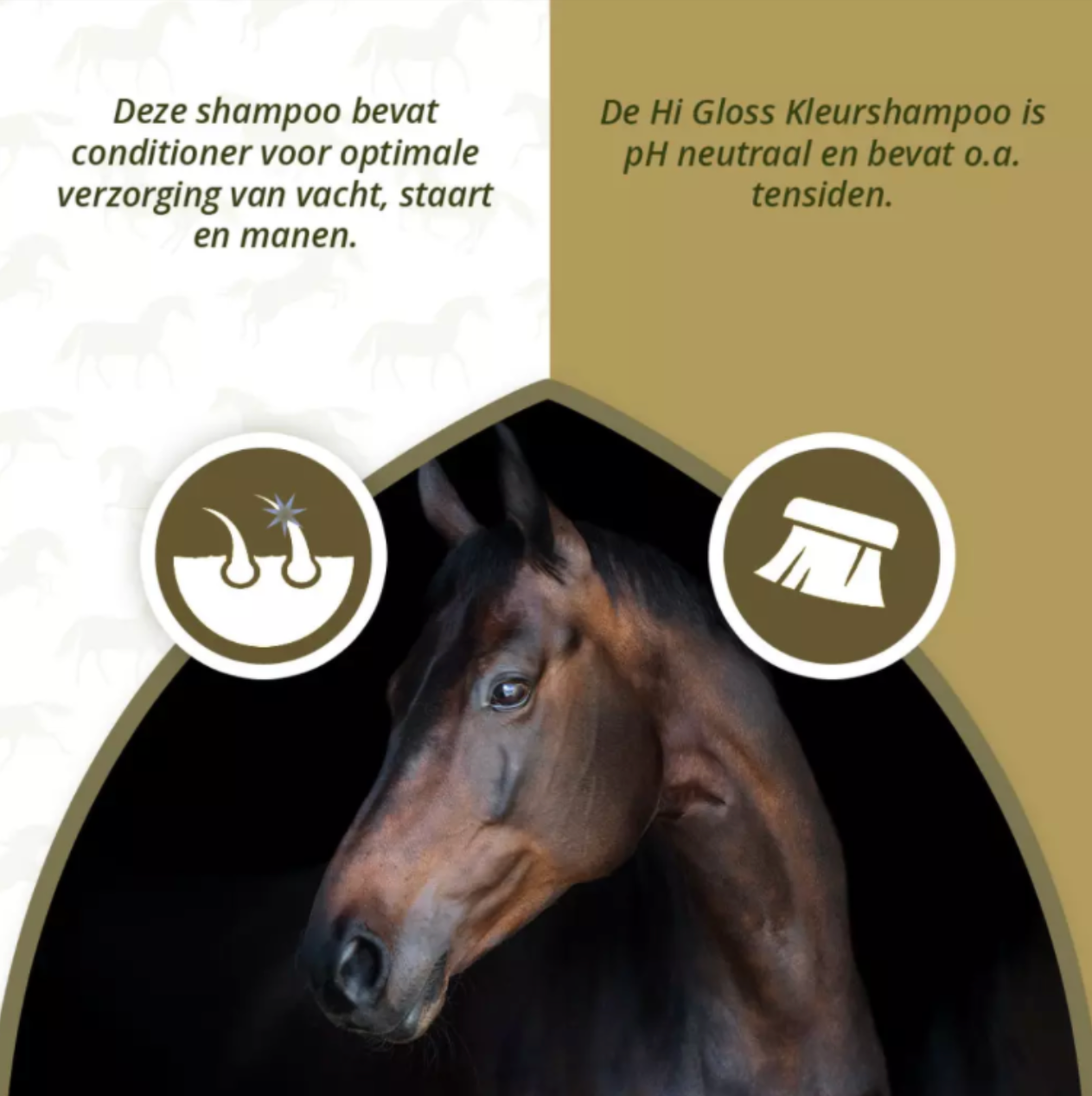Excellent Horse Hi Gloss Paarse Shampoo