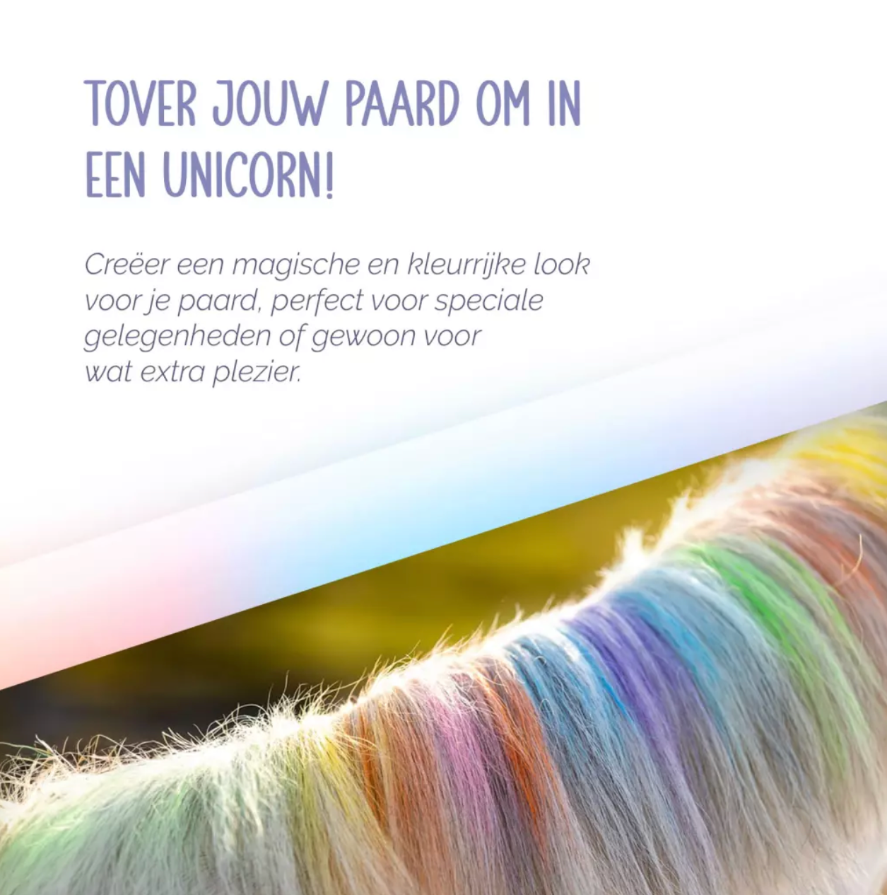 Paardenpraat Regenboog  Kleurkrijt