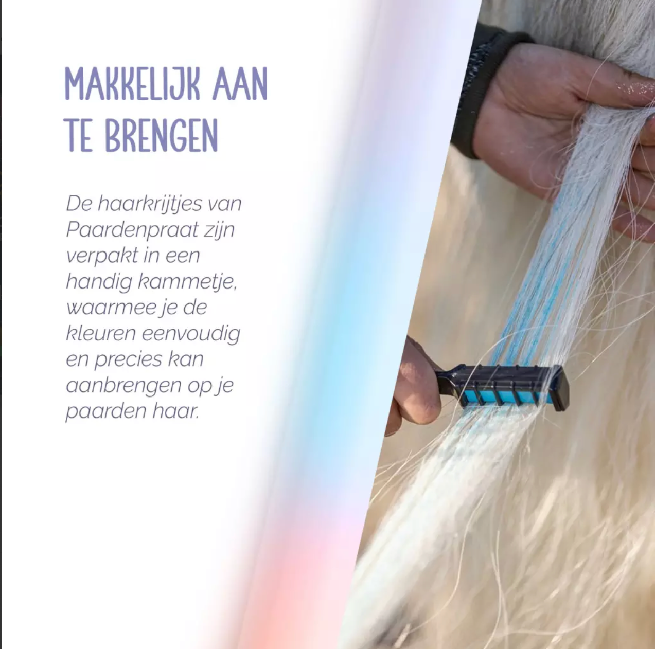 Paardenpraat Regenboog  Kleurkrijt